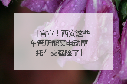 官宣！西安这些车管所能买电动摩托车交强险了