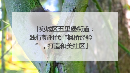 宛城区五里堡街道：践行新时代“枫桥经验”，打造和美社区