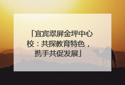 宜宾翠屏金坪中心校：共探教育特色，携手共促发展