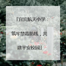 宜宾航天小学：筑牢禁毒防线，共建平安校园