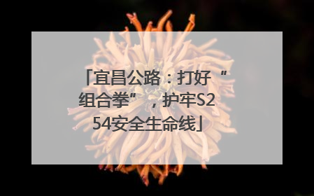 宜昌公路：打好“组合拳”，护牢S254安全生命线