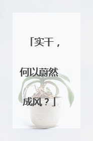实干，何以蔚然成风？