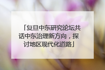 复旦中东研究论坛共话中东治理新方向，探讨地区现代化道路