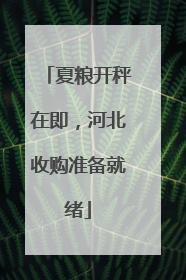 夏粮开秤在即，河北收购准备就绪