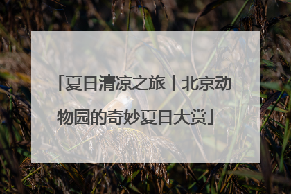 夏日清凉之旅丨北京动物园的奇妙夏日大赏