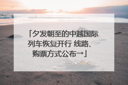 夕发朝至的中越国际列车恢复开行 线路、购票方式公布→
