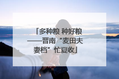 多种粮 种好粮——晋南“麦田夫妻档”忙夏收