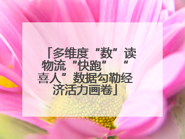 多维度“数”读物流“快跑” “喜人”数据勾勒经济活力画卷