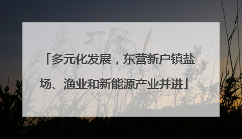 多元化发展，东营新户镇盐场、渔业和新能源产业并进