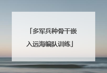 多军兵种骨干嵌入远海编队训练