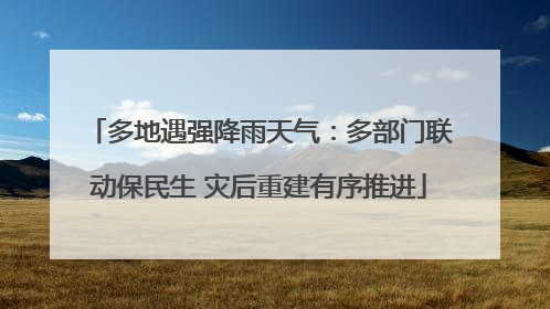 多地遇强降雨天气：多部门联动保民生 灾后重建有序推进