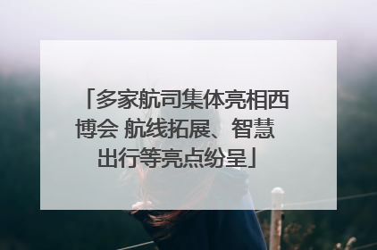 多家航司集体亮相西博会 航线拓展、智慧出行等亮点纷呈