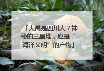 大禹是四川人？神秘的三星堆，应是“海洋文明”的产物