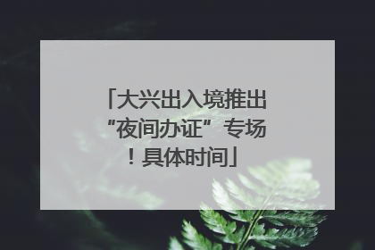 大兴出入境推出“夜间办证”专场！具体时间