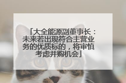 大全能源副董事长：未来若出现符合主营业务的优质标的，将审慎考虑并购机会