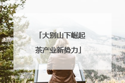 大别山下崛起茶产业新势力
