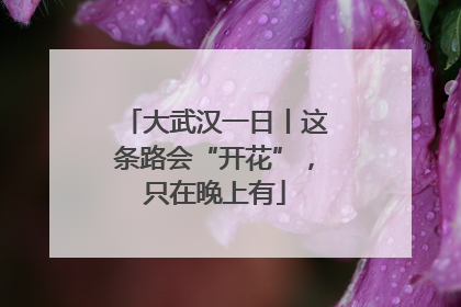 大武汉一日丨这条路会“开花”，只在晚上有