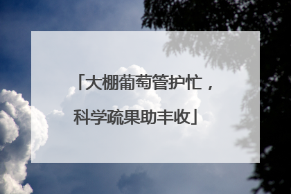 大棚葡萄管护忙，科学疏果助丰收