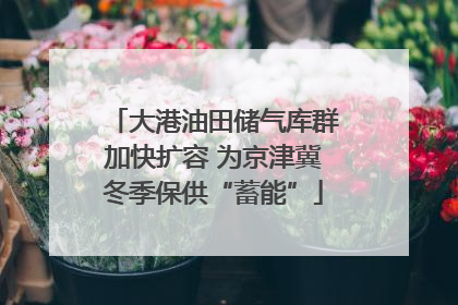 大港油田储气库群加快扩容 为京津冀冬季保供“蓄能”