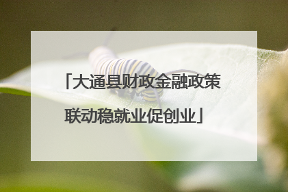 大通县财政金融政策联动稳就业促创业