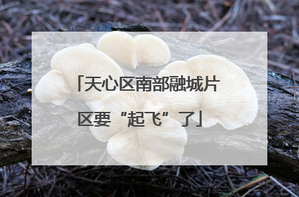 天心区南部融城片区要“起飞”了