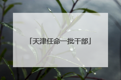 天津任命一批干部