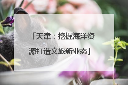 天津：挖掘海洋资源打造文旅新业态