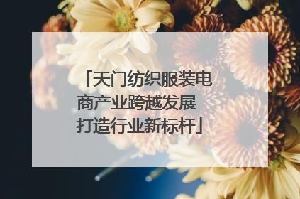 天门纺织服装电商产业跨越发展 打造行业新标杆