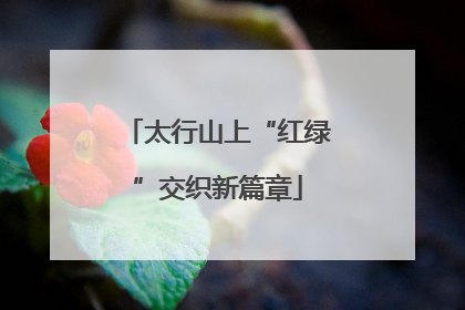 太行山上“红绿”交织新篇章