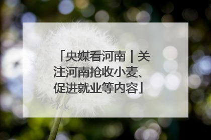 央媒看河南｜关注河南抢收小麦、促进就业等内容