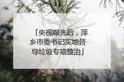 央视曝光后，萍乡市委书记实地督导垃圾专项整治