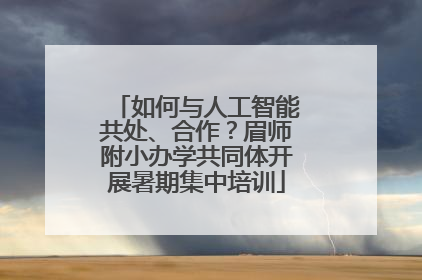 如何与人工智能共处、合作？眉师附小办学共同体开展暑期集中培训