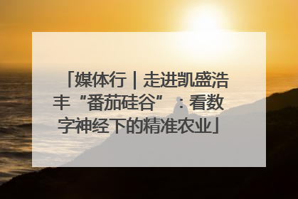 媒体行｜走进凯盛浩丰“番茄硅谷”：看数字神经下的精准农业