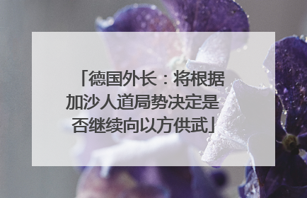德国外长：将根据加沙人道局势决定是否继续向以方供武