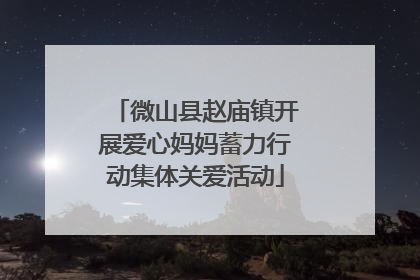 微山县赵庙镇开展爱心妈妈蓄力行动集体关爱活动