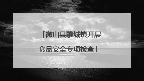 微山县驩城镇开展食品安全专项检查