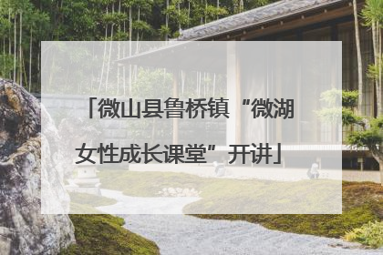 微山县鲁桥镇“微湖女性成长课堂”开讲