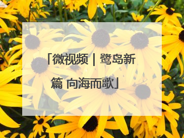 微视频｜鹭岛新篇 向海而歌