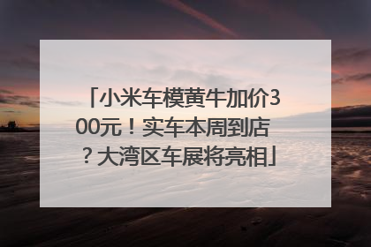 小米车模黄牛加价300元！实车本周到店？大湾区车展将亮相
