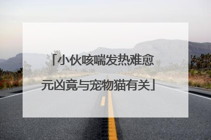 小伙咳喘发热难愈 元凶竟与宠物猫有关