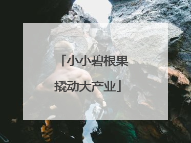 小小碧根果撬动大产业