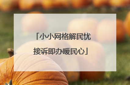 小小网格解民忧 接诉即办暖民心