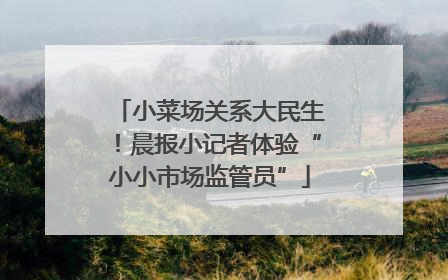 小菜场关系大民生！晨报小记者体验“小小市场监管员”