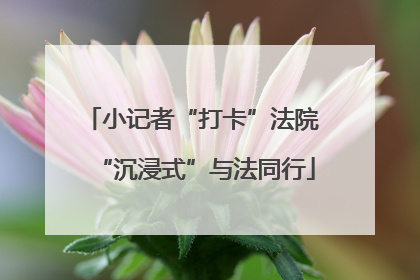 小记者“打卡”法院 “沉浸式”与法同行