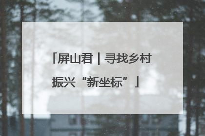 屏山君｜寻找乡村振兴“新坐标”