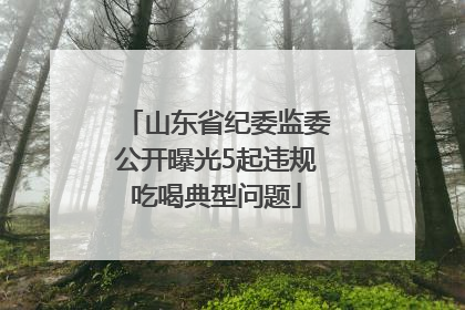 山东省纪委监委公开曝光5起违规吃喝典型问题