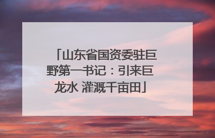 山东省国资委驻巨野第一书记：引来巨龙水 灌溉千亩田