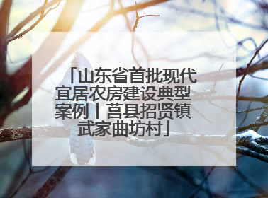 山东省首批现代宜居农房建设典型案例丨莒县招贤镇武家曲坊村
