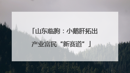 山东临朐：小鹅肝拓出产业富民“新赛道”