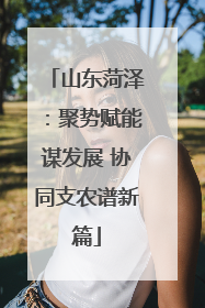 山东菏泽：聚势赋能谋发展 协同支农谱新篇